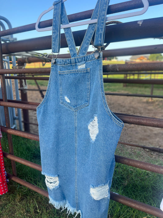 Overall Dress